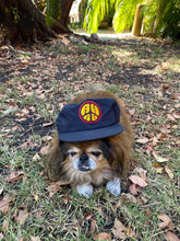 Load image into Gallery viewer, Embroidered “surf” hat